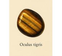 Cuaderno de Cuadrícula 5x5 mm - Oculus tigris - 100 Páginas - 21,59 x 27,94 cm: Diseño científico con ilustración realista de ojo de tigre y nombre en ... geología, cristaloterapia o journaling