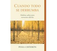 Cuando Todo Se Derrumba (When Things Fall Apart): Palabras Sabias Para Momentos Dificiles (La Colleccion de Pema Chodron)
