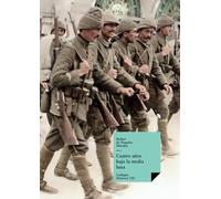 Cuatro años bajo la media luna: 520 (Historia)