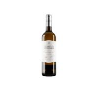 Cuatro Rayas Cuarenta Vendimias Verdejo 2025