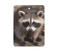 Cub Raccoon Car Air Freshener Hanging, Long Lasting Scented Car Aromatherapy Tablets, Square Fragrance Scented Cards for Vehicles, Bedroom, Wardrobe White-style