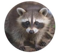 Cub Raccoon Jigsaw Puzzle Challenging Round Animals Puzzle Wooden Jigsaw Puzzles for Adults Families 195 PCS