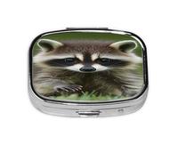 Cub Raccoon Pattern Pill Case Pill Box Travel Pill Organizer Small Square Medicine Box for Purse & Pocket Gifts
