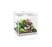 Cube 30 Aquarium with MCR Light - 8 Gallon, White