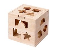 Cube for Sorting Shapes | Cognitive Educational Game for Learning - Color Recognition, for Daily Learning Home Education Game Preschool Development Family