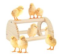 Cubolar Pine Chicken Perch with Mirror, Strong Chick Jungle Gym Roosting Bar, Chicken Toys for Coop and Brooder, Training Perch Toys for Large Bird, Parrot, Macaw, Hens (Small)