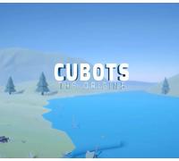 CUBOTS The Origins Steam CD Key