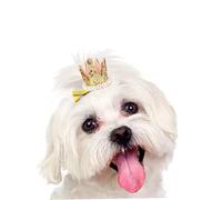 cuchenhuan 1pc Dog Hair Hair Accessories Birthday,Sequin Crown with Pearl Hair Clip for Dogs Cats Pets Birthday Gift, Teddy Yorkie Maltese Dog Hair Grooming Party (Gold)