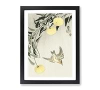 Cuckoo Bird In Flight By Ohara Koson Asian Japanese Framed Print | A4 Black Framed Wall Art | Ready to Hang | Asian Nature Picture | Living Room Bedroom Lounge Office