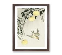 Cuckoo Bird In Flight By Ohara Koson Asian Japanese Framed Print | A4 Walnut Framed Wall Art | Ready to Hang | Asian Nature Picture | Living Room Bedroom Lounge Office