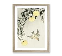 Cuckoo Bird In Flight By Ohara Koson Asian Japanese Framed Wall Art Print, Ready to Hang Picture for Living Room Bedroom Home Office Décor, Oak A3 (34 x 46 cm)