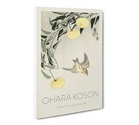 Cuckoo Bird In Flight By Ohara Koson Exhibition Museum Asian Japanese Canvas Wall Art Print Ready to Hang, Framed Picture for Living Room Bedroom Home Office Décor, 24x16 Inch (60x40 cm)