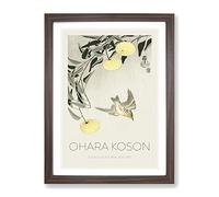 Cuckoo Bird In Flight By Ohara Koson Exhibition Museum Asian Japanese Framed Wall Art Print, Ready to Hang Picture for Living Room Bedroom Home Office Décor, Walnut A2 (64 x 46 cm)
