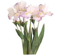 CUCUFA Iris Flower, 4Pcs Silk Artificial Irish, Artificial Flowers for Home 30x6 Inch, Fake Flower for Wedding, Decorative Artificial Flowers