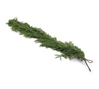 CUCUFA Norfolk Pine Garland, Artificial Norfolk Pine Garland, Hanging Christmas Garland, Norfolk Pine Stems for Christmas