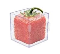 Cucumber Molds - Innovative Domestic Gardening Transparent Watermelon Growth Tool, Fruit Growth Molds | For Pumpkin Strawberry Tomatoes Garden Backyard Patio Yard Apartment
