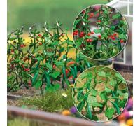 Cucumber & Tomato Plants HO/OO Gauge Busch 1214