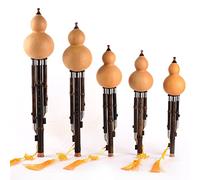 Cucurbit Flute Purple Bamboo Hulusi Set Small D Drop B Learning Playing Hulusi
