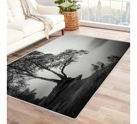 CUDAOO Digital Printed Unique Design carpet Birch by Foggy Lake Living Room Rugs Decorative Indoor Floor Mat Natural Theme(Black and white)-90x120cm