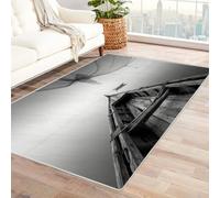 CUDAOO Digital Printed Unique Design carpet Distant Net Boats Living Room Rugs Decorative Indoor Floor Mat Natural Theme(Black and white)-60x90cm