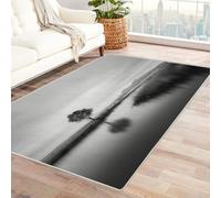 CUDAOO Digital Printed Unique Design carpet Silent Lone Tree Living Room Bedroom Sofa Mat Door Mat Home Decoration(Black and white)-60x90cm