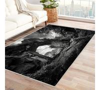 CUDAOO Digital Printed Unique Design carpet Stone Arch Door Non-Slip Throw Floor Carpet for Bedroom Entrance(Black and white)-180x270cm