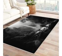CUDAOO Digital Printed Unique Design carpet Watching the Falls Living Room Rugs Decorative Indoor Floor Mat Natural Theme(Black and white)-60x90cm
