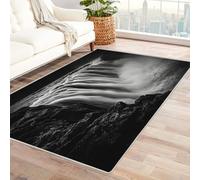 CUDAOO Digital Printed Unique Design carpet Water Hitting Stone Living Room Bedroom Sofa Mat Door Mat Home Decoration(Black and white)-150x210cm