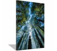 CUDAOO Modern Nature Landscape Poster Birds in the Forest for Office Bedroom Living Room Decor(green)-20x30cm Framed