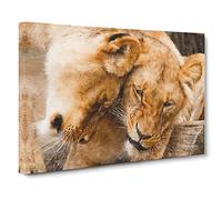 Cuddling Lions Canvas Print | Gallery Wrapped 30mm Frame Wall Art | 30x20 inches | Ready to Hang | Contemporary Animal Picture | Living Room Bedroom Lounge Office