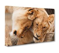 Cuddling Lions No.2 Canvas Print | Gallery Wrapped 30mm Frame Wall Art | 24x16 inches | Ready to Hang | Modern Animal Picture | Living Room Bedroom Lounge Office