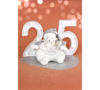 Cuddly Toy 25 Years - Bear Silver Cape