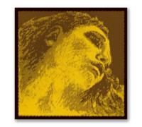 CUERDA VIOLIN - Pirastro (Evah Pirazzi Gold 415221) (Aluminio) 2ª Medium Violin 4/4 (La) A