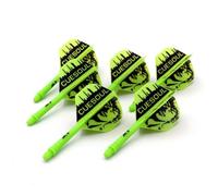 CUESOUL 6 Pieces ROST Integrated Dart Shaft and Flights,with exclusive pattern design