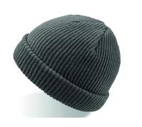 Cuffed beanie Atlantis Headwear Skate Gris TU