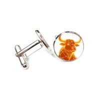 Cufflinks, Mighty Cattle Head Totem Unique Spectral Diffraction, Taurus Twelve Zodiac Signs, Personalized Luck Cuff Buckle, Shirt Accessory Gift For Accountant Boss Business Wedding Prom