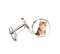 Cufflinks, Orrange Fur Licking Its Claw Cat, Sitting Quietly, Personalized Cuff Buckle, Sparkly Shirt Accessory Gift For Accountant Boss Business Wedding Prom Formal Occasion