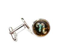 Cufflinks, Symbol N Electricity Design Novelty Energy Crystal, Aries Twelve Zodiac Signs, Cuff Buckle, Shirt Accessory Gift For Accountant Boss Business Wedding Prom Formal Occasion