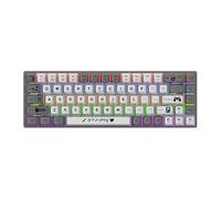 Cuifati Mechanical Gaming Keyboard, Blue Switch USB Wired Keyboard, 17 RGB Light Up Backlit Modes, 68 Key Full Size Clicky Keyboards for PC, Purple/Grey (Blue Switch - Grey White)