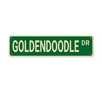 CUIYMXSC Goldendoodle Dr Street Signs Metal Tin Signs Goldendoodle Decor Goldendoodle Sign Dog Gift Wall Decor for Home Bedroom Man Cave 16x4 Inch