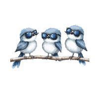 cukol cukol Cross Stitch Kits for Adults - 12x12 in Easy Washable Pre Printed Pattern, Advanced 11CT Stamped Embroidery Fabric, Cool Birds Design Fit for DIY Home Decor, Mum Gifts & Stress Relief