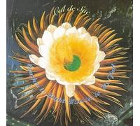 Cul De Sac - Crashes to Light Minutes to It