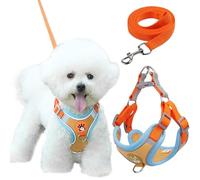 Culinavog Dog Harness Set, 1 Piece Adjustable Dog Harness with Padded Vest, Easy to Use, Multi-Purpose Dog Harness, Puppy Harness for Small Dogs, Cat Harness (Orange, X-Small)