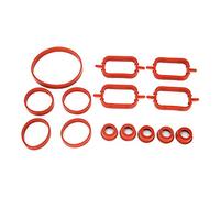 Culnflun Kit de colector de admisión de 14 piezas apto para Motor de inflamable pesado de 6 cilindros M57 M47 E87 E46 E90 E91 E92 E93 E39 E60