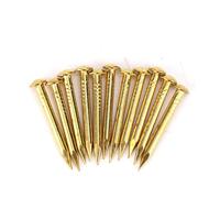 Culnflun Round Head Nail Brass Furniture Hinge Hardware Accessories 10mm/15mm/18mm/22mm 100Pcs (15mm Long)