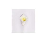 Culpitt Calla Lily Spray Gum Paste Edible Cake Decorating Toppers (Pack of 1, Total 50)