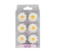 Culpitt Sugar Daisies, Delightful Sugar Decorations for Easter Cakes and Cupcakes, White - Pack of 12