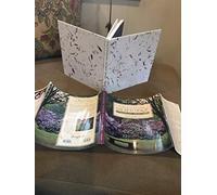 Cultivating Sacred Space: Gardening for the Soul