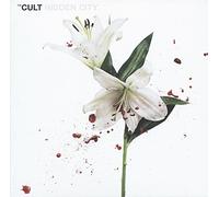 CULT - Hidden City