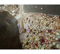 Culture and Coffee in Oaxaca